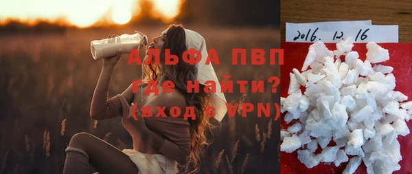 ГАЛЛЮЦИНОГЕННЫЕ ГРИБЫ Карпинск