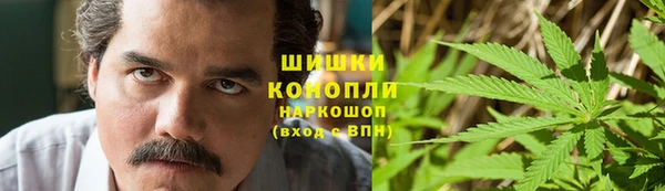 ГАЛЛЮЦИНОГЕННЫЕ ГРИБЫ Карпинск