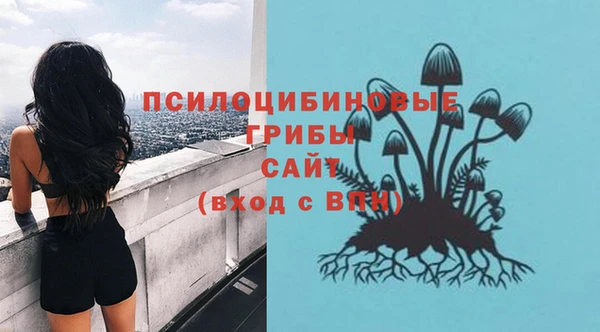 ГАЛЛЮЦИНОГЕННЫЕ ГРИБЫ Карпинск