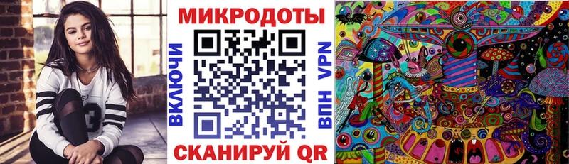 Купить закладки  Валдай  Галлюциногенные грибы Magic Shrooms 